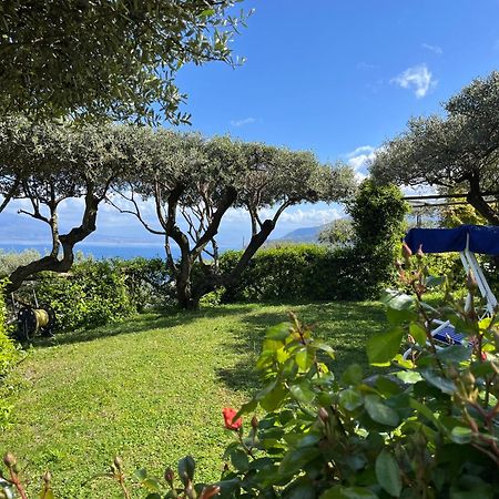 Hotel Sorrento Olive Tree Garden Exteriér fotografie