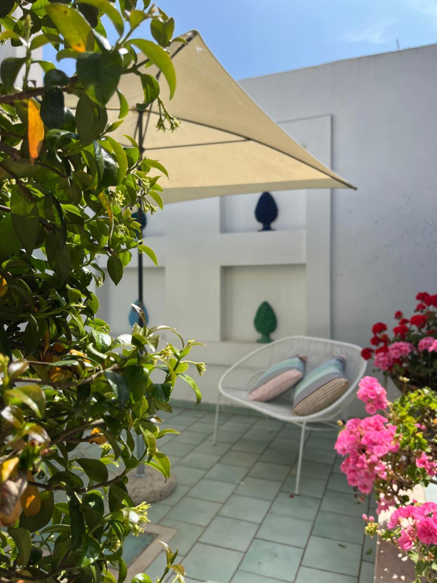 Hotel Sorrento Olive Tree Garden Exteriér fotografie