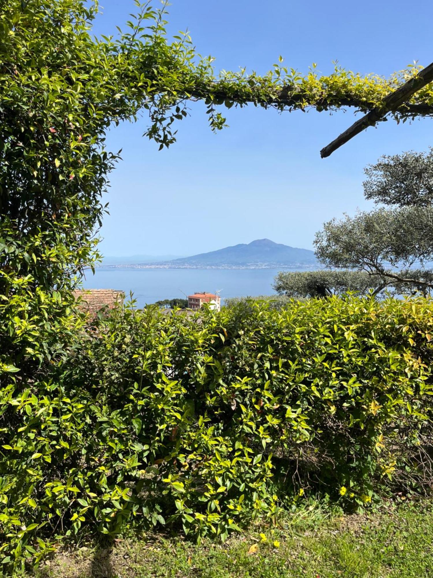 Hotel Sorrento Olive Tree Garden Exteriér fotografie